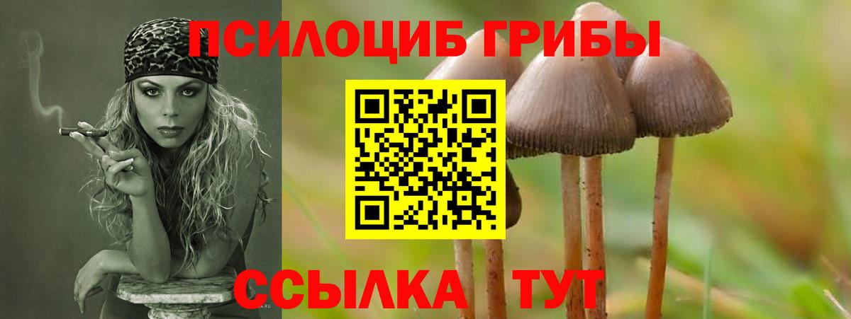 Красногорск  Галлюциногенные грибы Magic Shrooms  Вход с VPN 